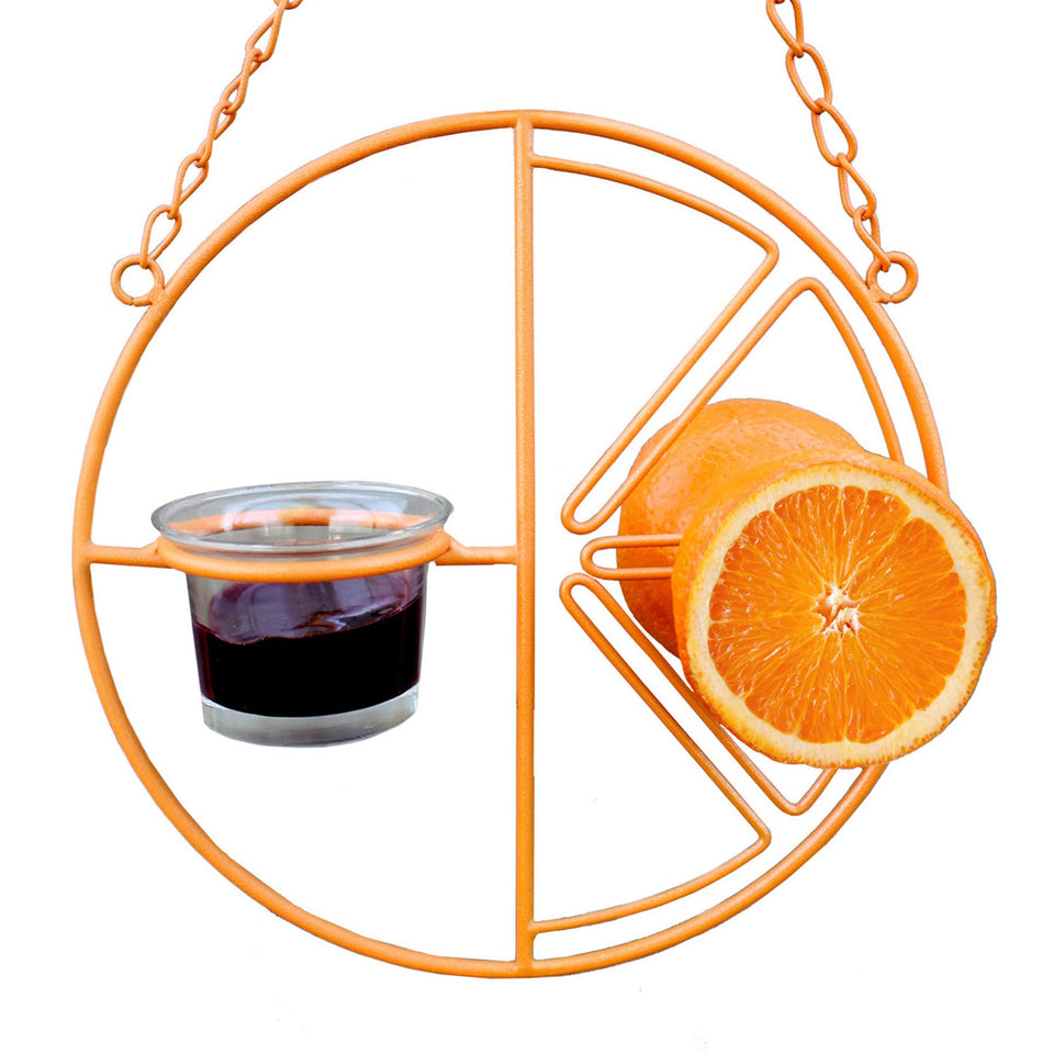 Heathy CF-133 Clementine Feeder orange shell attracts orioles for easy observation