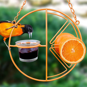 Heath CF-133 orange-half design highlights feeding action in the garden
