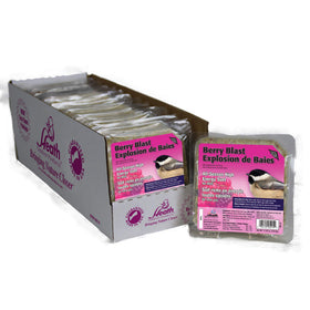 Heath DD-15 Berry Blast suet cake case image; shows cool, dry storage guidance for freshness.