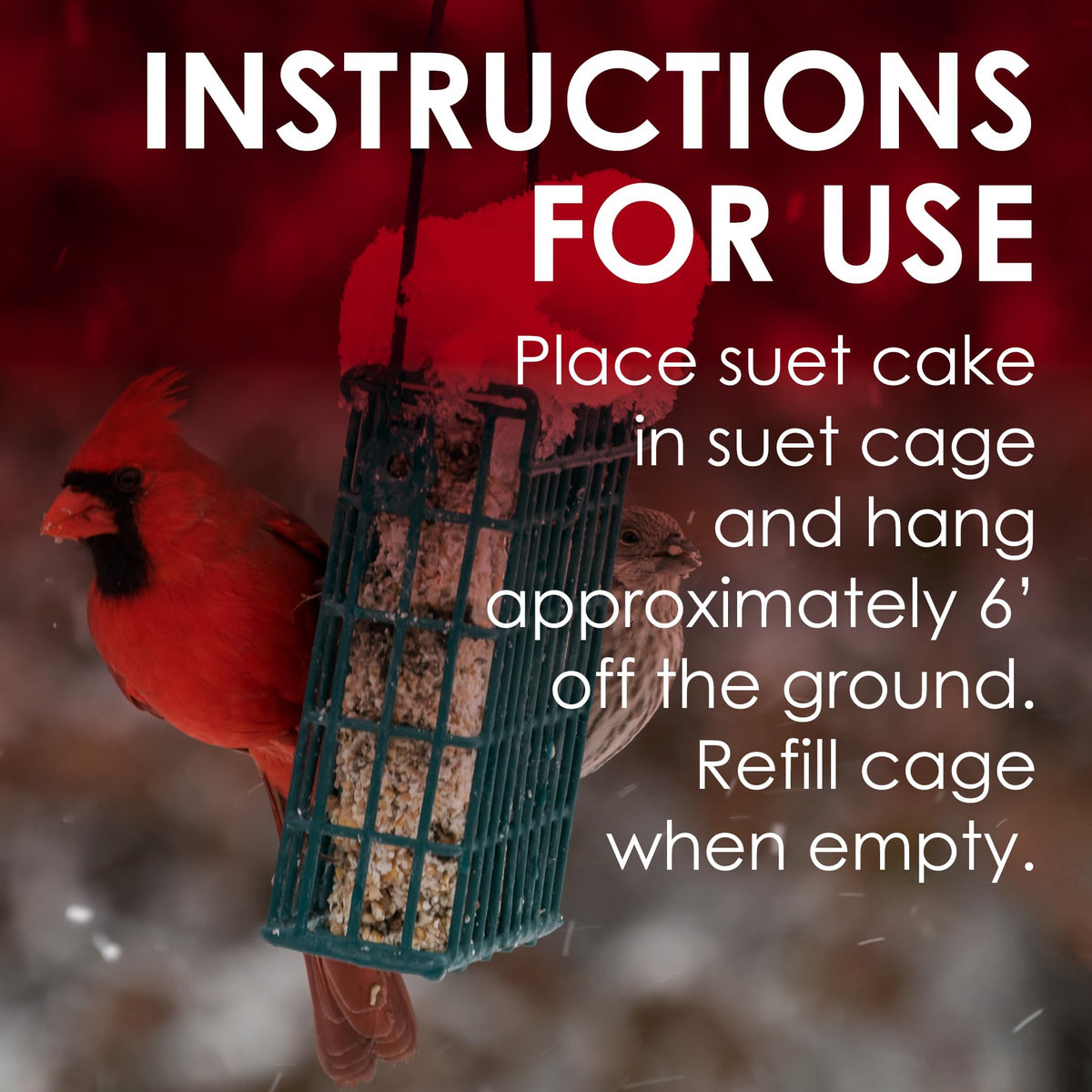Heath DD-27 suet cake product shot emphasizes no-melt blend for year-round feeding.