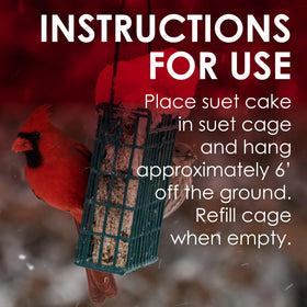 Heath DD-27 suet cake product shot emphasizes no-melt blend for year-round feeding.