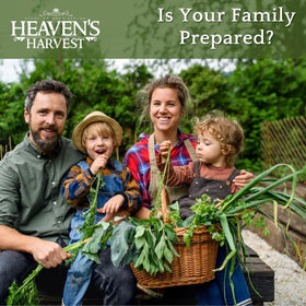 HEAVEN'S HARVEST Clyde's Garden Planner insert aiding garden planning.