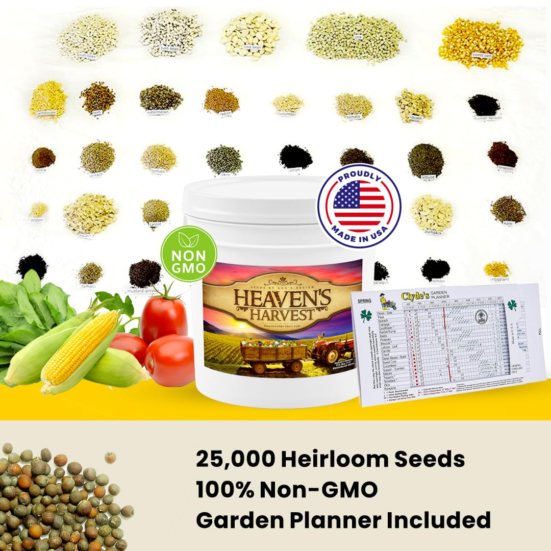 HEAVEN'S HARVEST seed collection close-up displaying dense seed variety.
