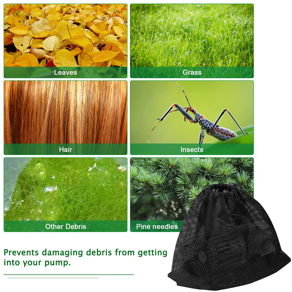 Hecaty outdoor pond setup shows protective filtration in use.