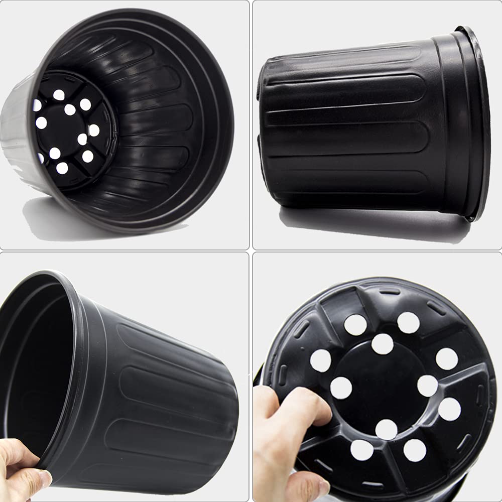 HECTOLIFE 1-gallon nursery pot bottom holes showcase ventilation and drainage for healthy roots