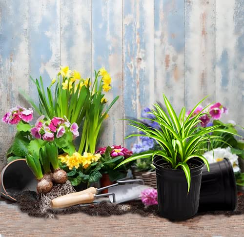 HECTOLIFE compact lightweight garden pots brighten spaces while starting plants