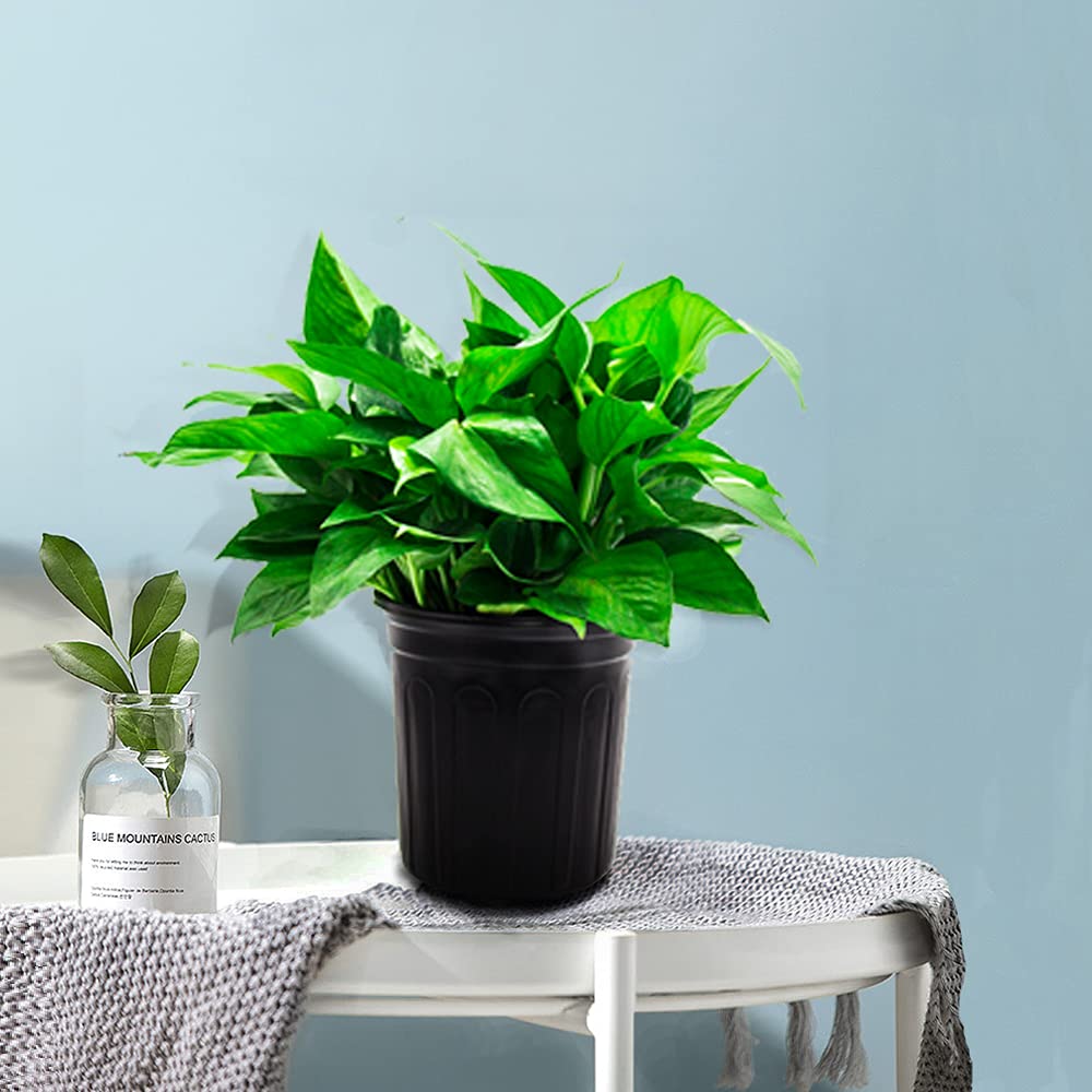HECTOLIFE indoor outdoor plant pot usage scene shows versatile seed starting and transplanting