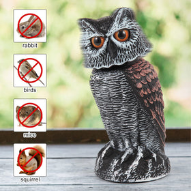 Hedoc weatherproof PE plastic owl statue guards fruit trees.