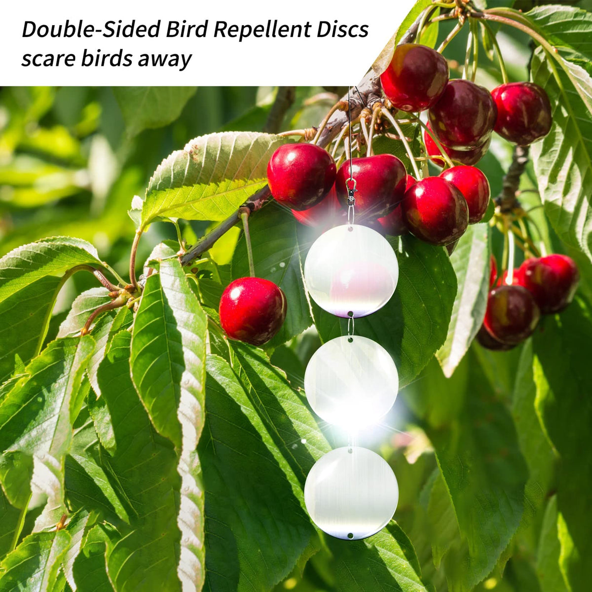 Hedoc double-sided discs create moving reflections to confuse birds.