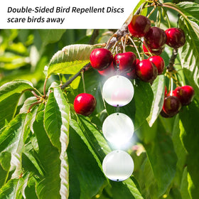 Hedoc double-sided discs create moving reflections to confuse birds.