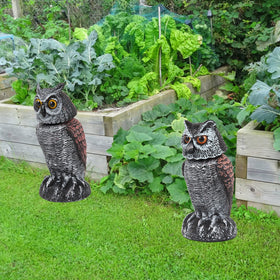 Hedoc ideal for patios, gardens, decks, and entryways.