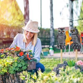 Hedoc lifelike design helps deter pigeons and squirrels.
