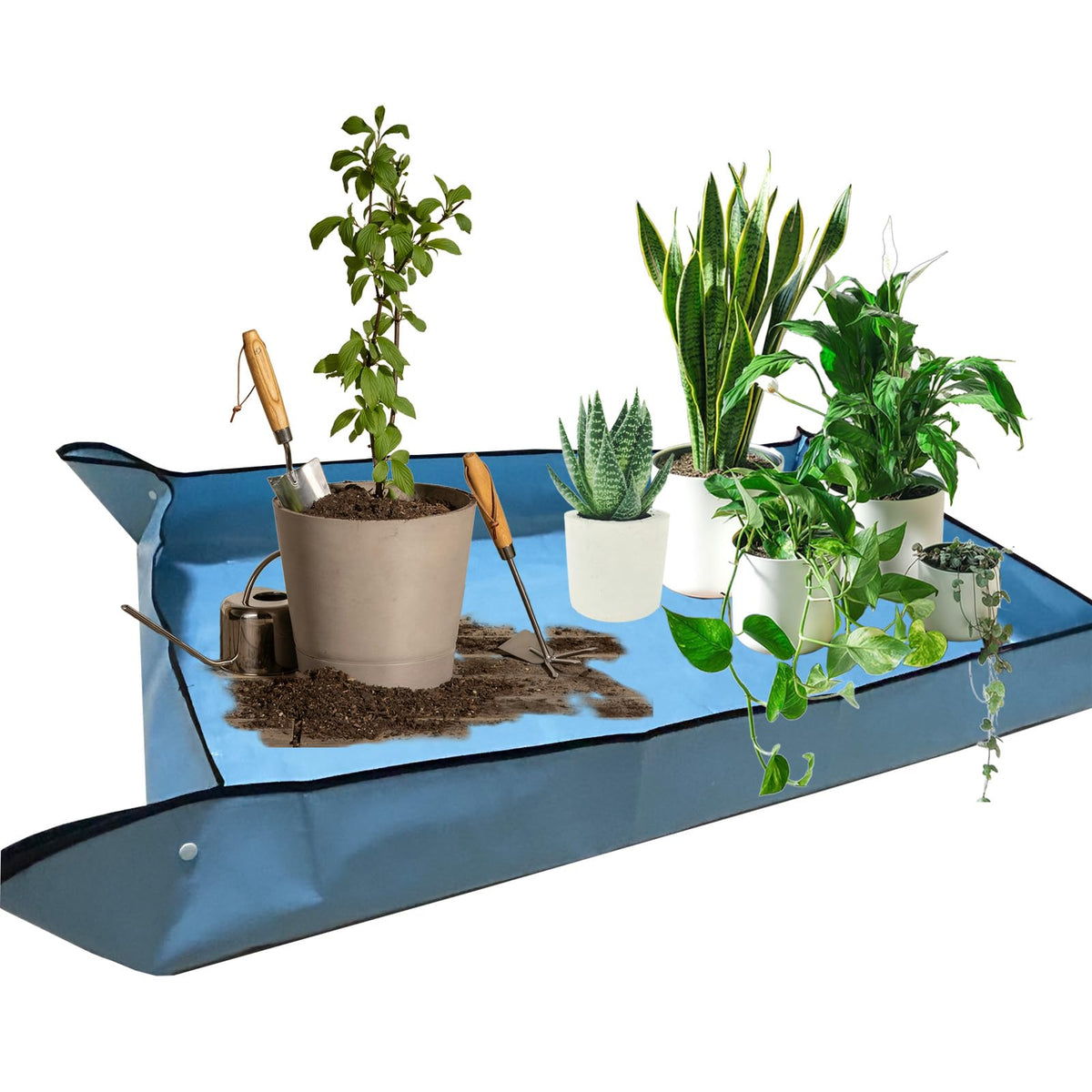HejVulkan repotting mat laid out blue for large indoor projects and transplanting