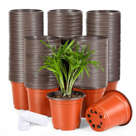 Hemikaki 4-inch plastic pot opening for seedling setup and transplanting.