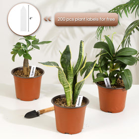Hemikaki bottom drainage holes support healthy plant roots