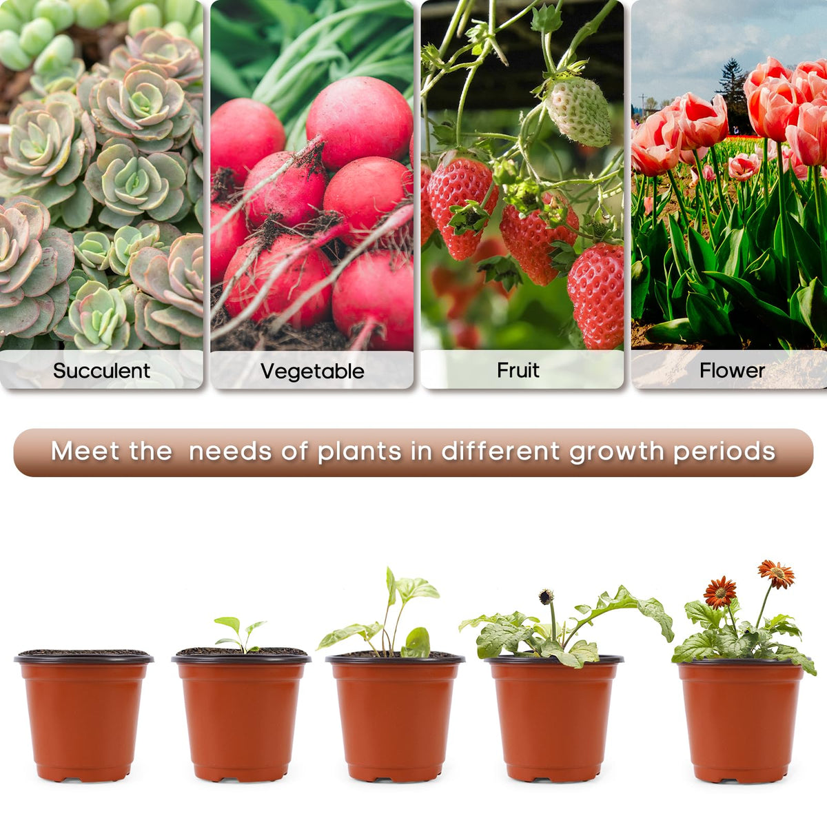 Hemikaki pots for indoor and outdoor display of plants