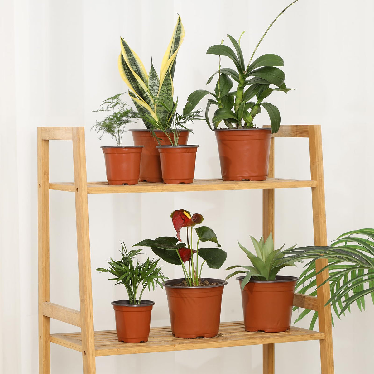 Hemikaki seedling starter kit with pots and labels for indoor or outdoor use.
