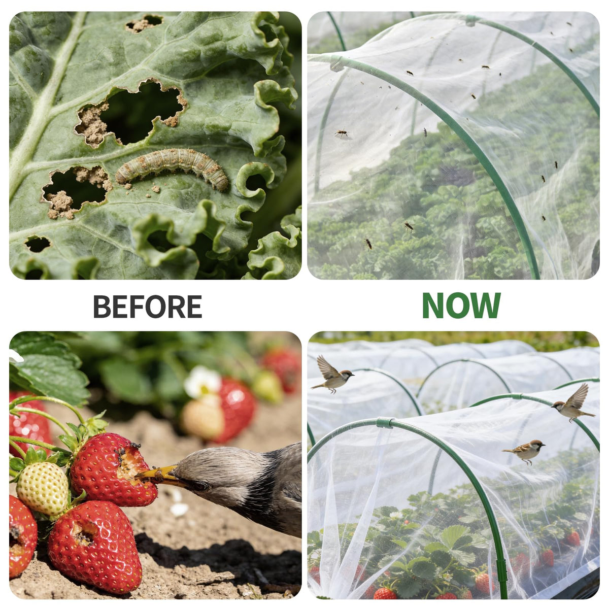 HENAYUK raised-bed protection: modular hoops create tailored tunnels for beds and rows