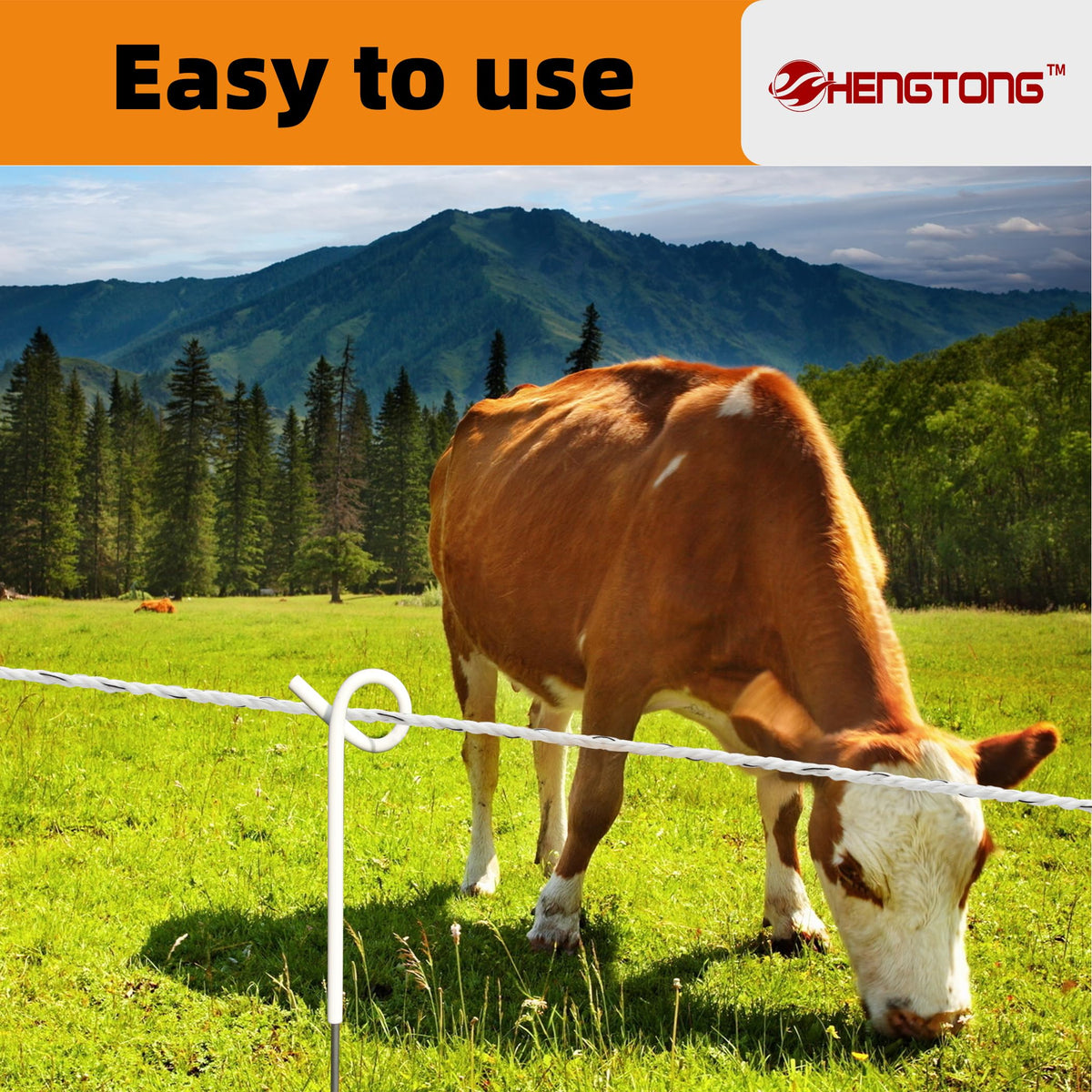HENGTONG setup with reel and insulators demonstrates easy installation.