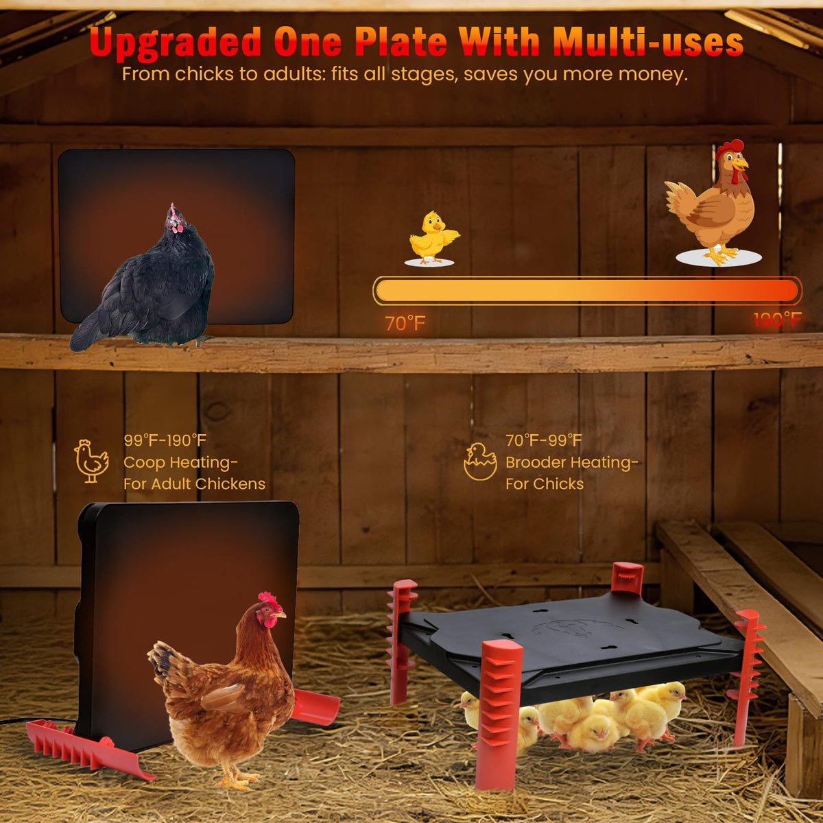 Heninhill 200W heating element delivers quick warmth for chicks