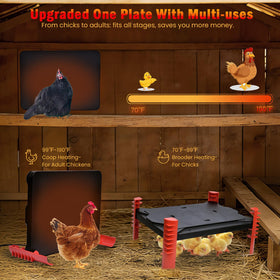 Heninhill 200W heating element delivers quick warmth for chicks