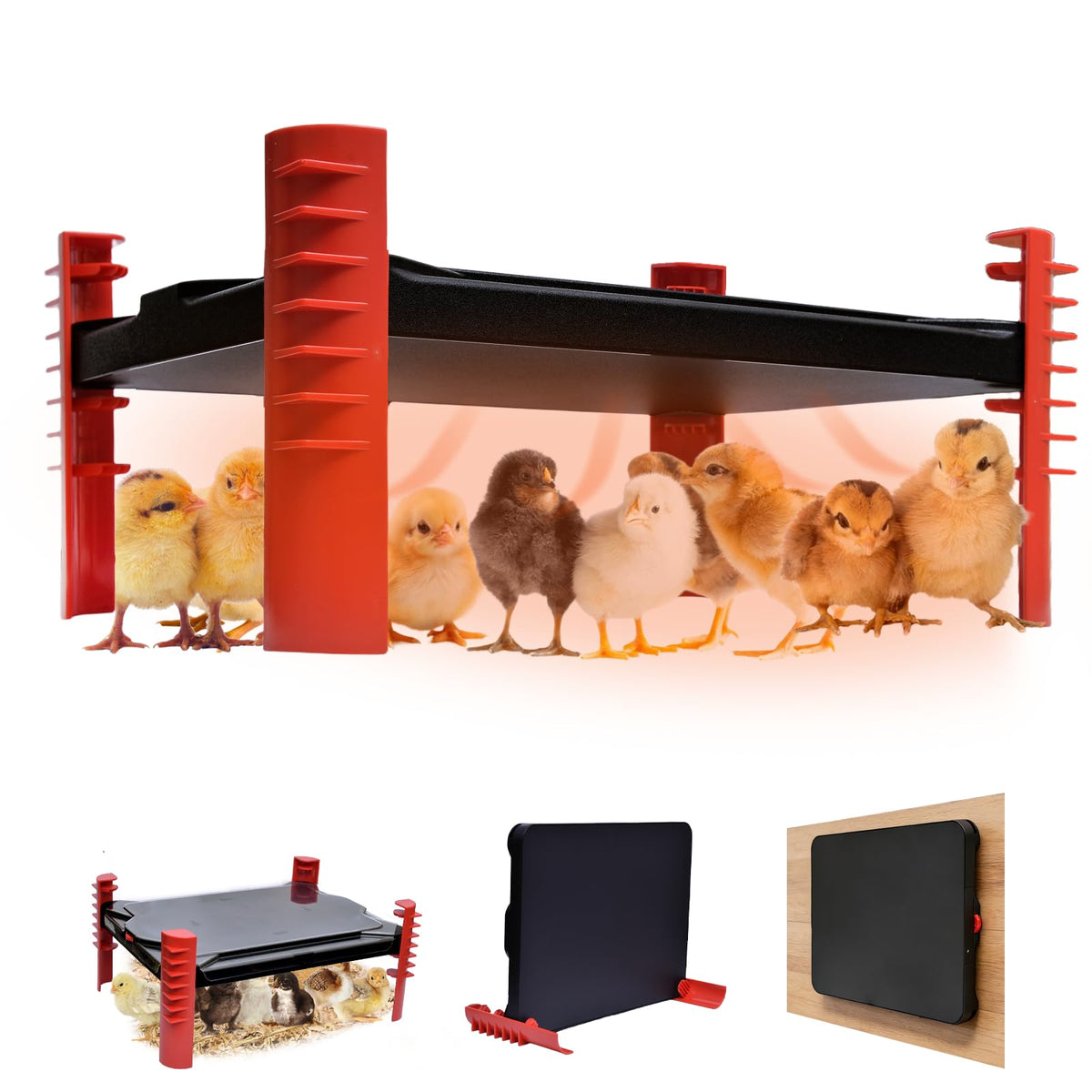 Heninhill smart chicken brooder heater unit in coop providing steady warmth