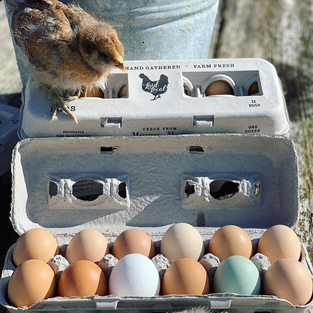 Henlay vintage-style packaging makes eggs gift-ready and eye-catching