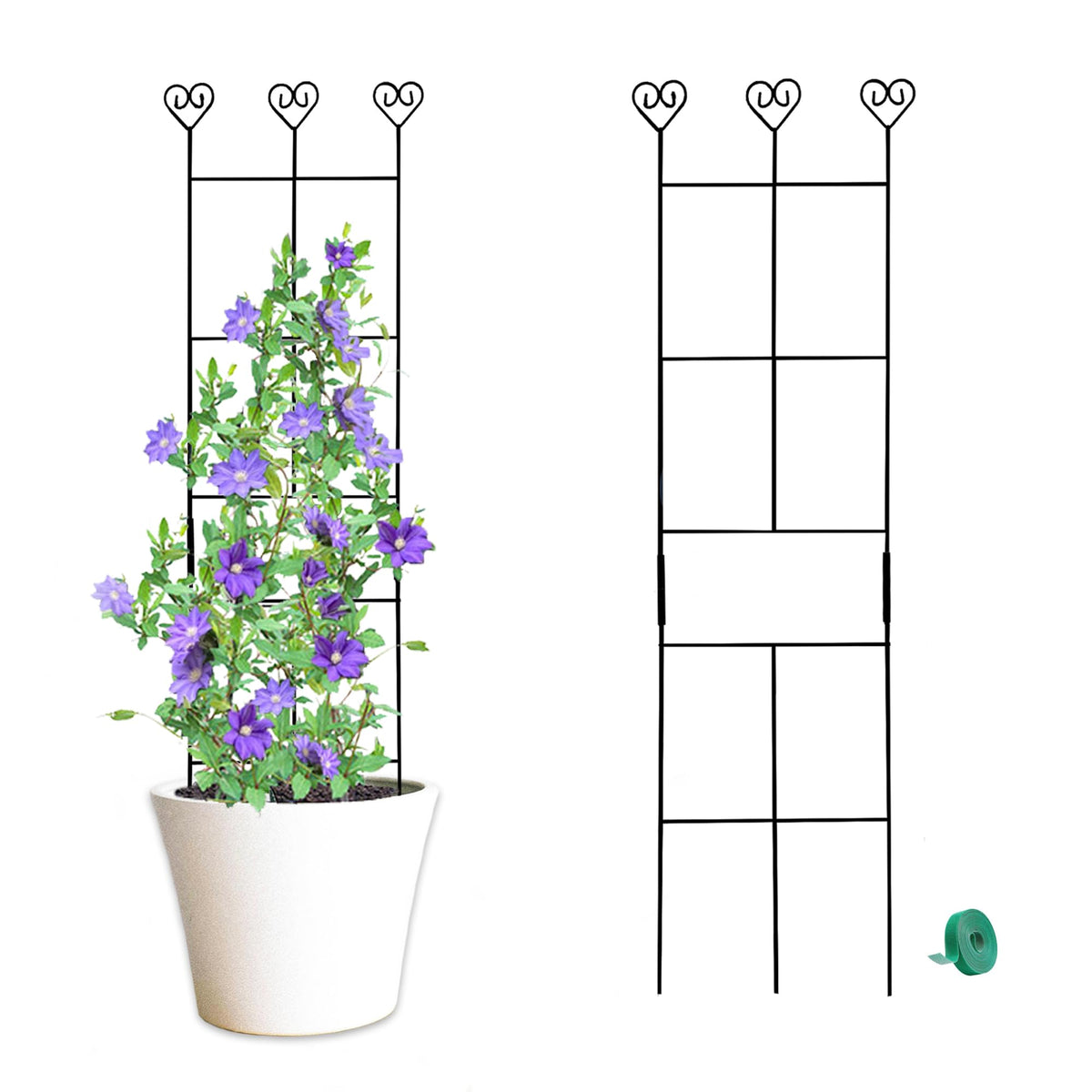 Hensal 2-pack plant trellis 30-inch supports multiple climbing plants in pots