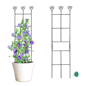 Hensal 2-pack plant trellis 30-inch supports multiple climbing plants in pots
