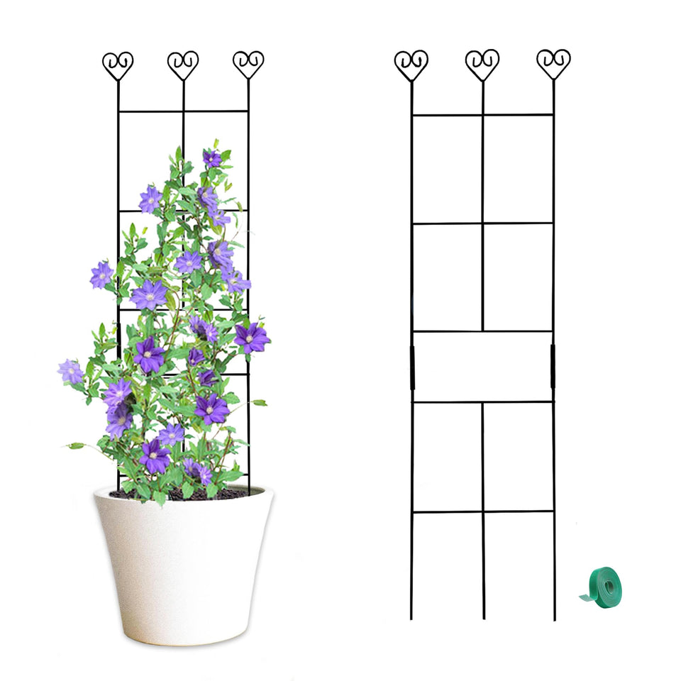 Hensal 2-pack plant trellis 30-inch supports multiple climbing plants in pots