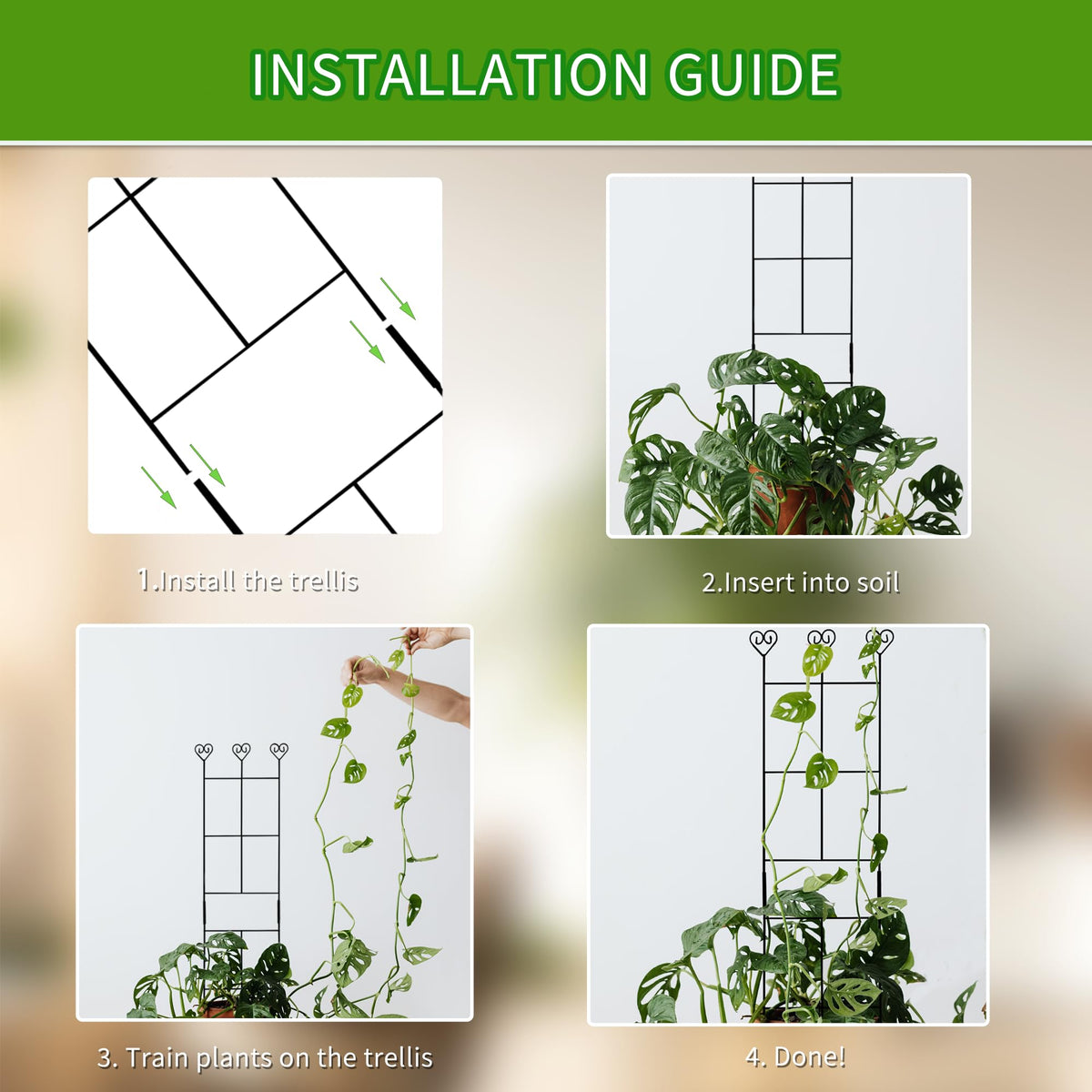 Hensal black powder-coated trellis adds style while supporting stems