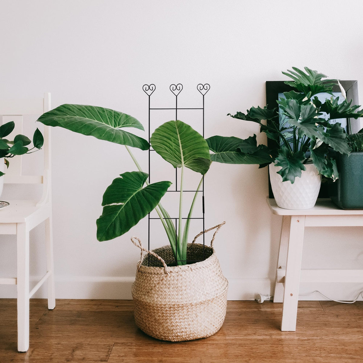 Hensal easy-assembly 2pc trellis lets you set up quickly