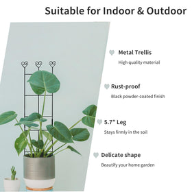 Hensal extended-legs-57in trellis stays firmly planted in pots