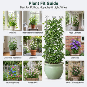 Hensal garden trellis works with ivy, roses, and more