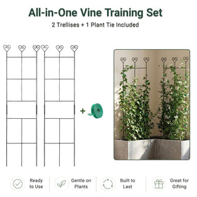 Hensal metal plant trellis provides sturdy support for ivy and pothos
