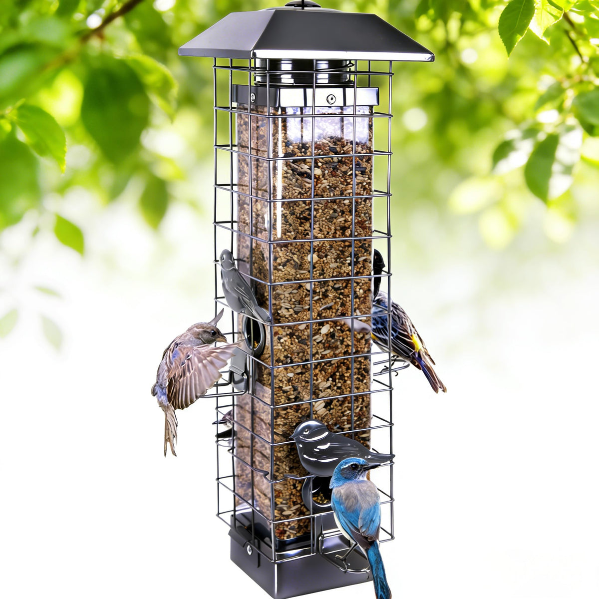 Henzavk squirrel-proof feeder outdoors shows a durable metal frame for birds.