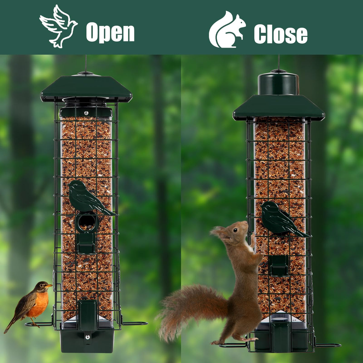 Henzavk transparent pipeline bird feeder green showing seed level at a glance.