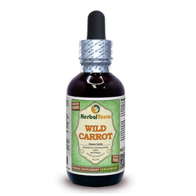 Herbal Terra LLC Wild Carrot bottle pour, alcohol-free glycerite ideal for daily balance