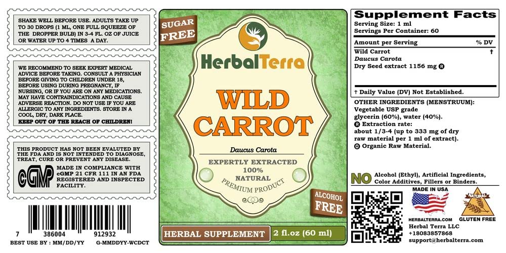Herbal Terra LLC Wild Carrot seed-top closeup, natural circulation-friendly wellness