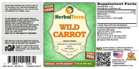 Herbal Terra LLC Wild Carrot seed-top closeup, natural circulation-friendly wellness