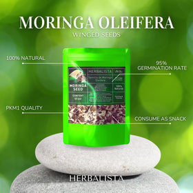 HERBALISTA Moringa Seeds drumstick tree growth, seeds that spark a green space