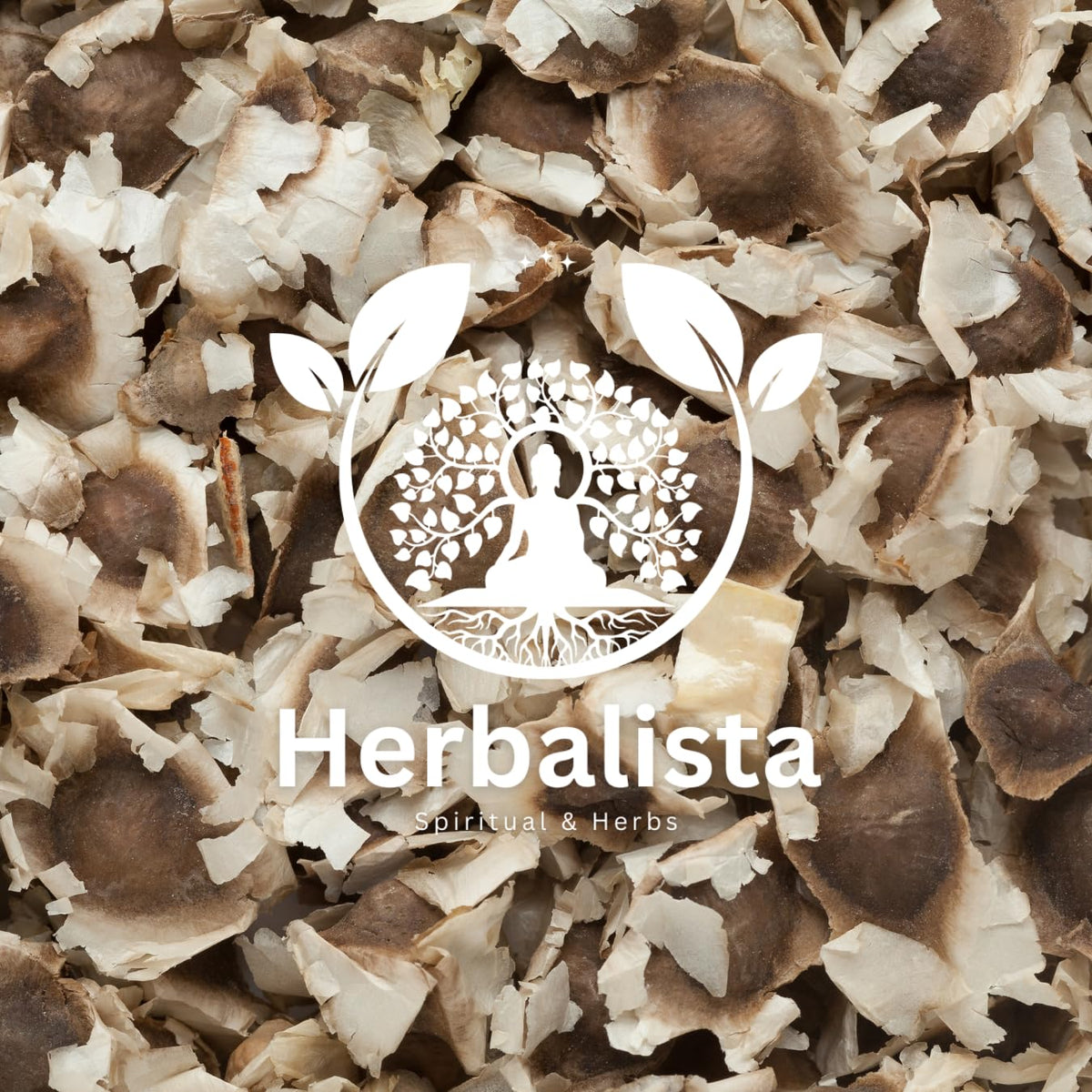 HERBALISTA Moringa Seeds snack-ready, crunchy and flavorful for on-the-go bites