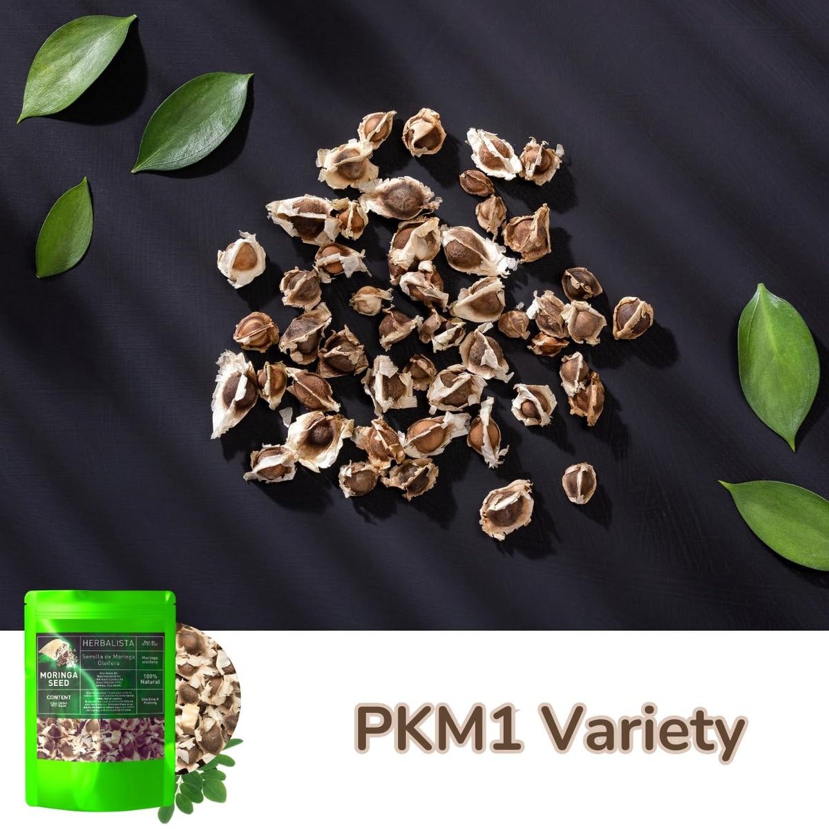 HERBALISTA Moringa Seeds wildcrafted harvest, natural flavor preserved
