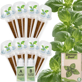 Herblink basil seed pods kit for easy indoor gardening with universal fit.