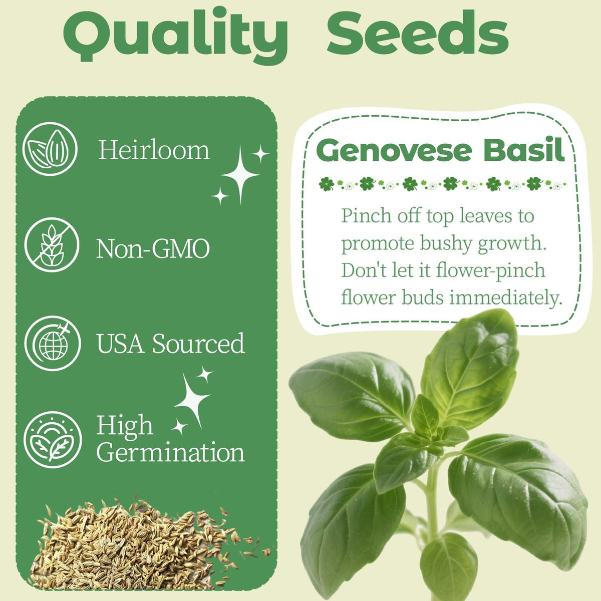 Herblink Genovese basil seeds ready to germinate for flavorful indoor cooking.