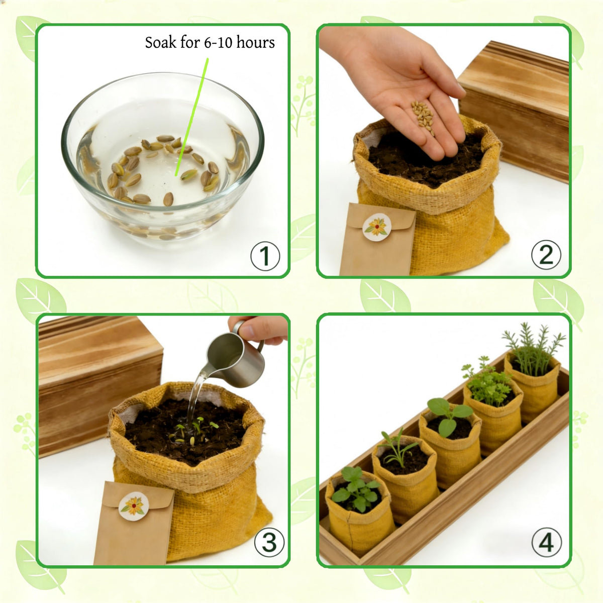 Herbsy thyme compact herb garden ideal for seasoning.