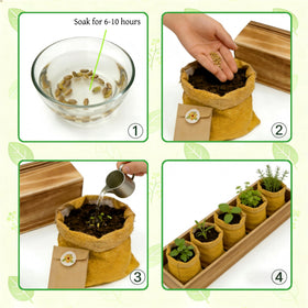 Herbsy thyme compact herb garden ideal for seasoning.