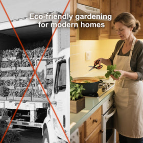 Herbsy windowsill compact garden setup fits small spaces.