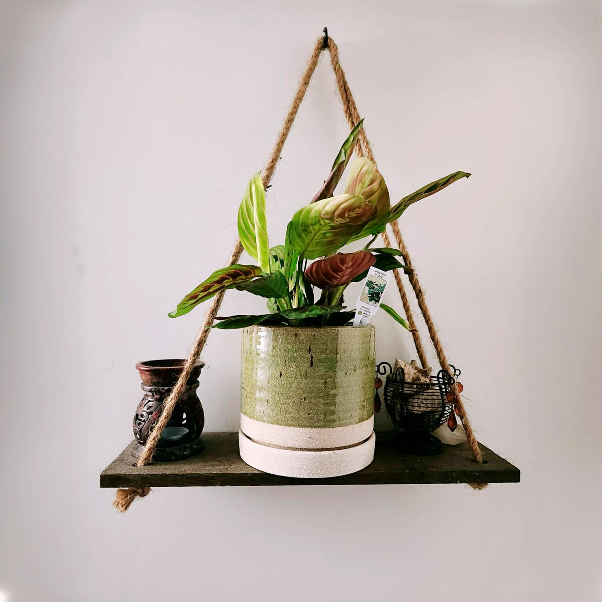 HERDUK ceramic planter with drainage hole and saucer supports healthy watering.
