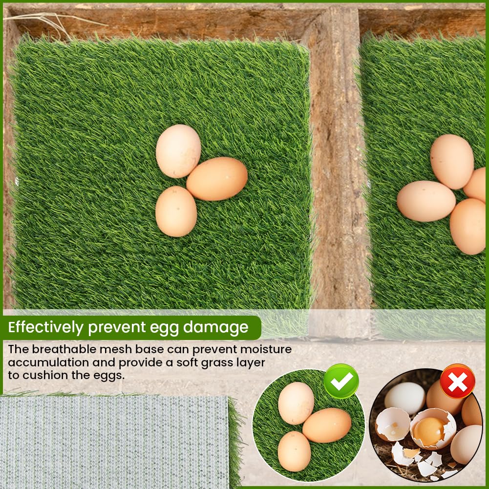 Back drainage holes help water and urine drain away for a drier nest
